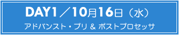 DAY1：アドバンスト・プリ&ポストプロセッサ